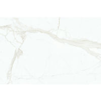 Magnifica Calacatta Super White Porcelain in 1/4"