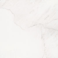 Magnifica 30" x 30" x 1/4" Floor and Wall Tile in Lincoln Super White