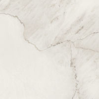 Magnifica 30" x 30" x 1/4" Floor and Wall Tile in Lincoln Super White