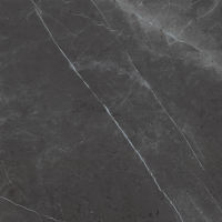 Magnifica 30" x 30" x 1/4" Floor and Wall Tile in Pietra Grey