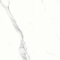 Magnifica 60" x 60" x 1/4" Floor and Wall Tile in Statuario Super White