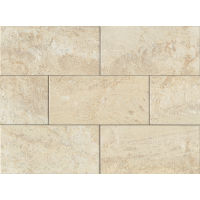 Marmi Di Napoli 18" x 36" x 3/8" Floor and Wall Tile in Creme Brulee