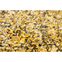 Giallo Fiorito Granite in 2 cm