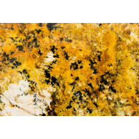 Kamarica Granite in 2 cm