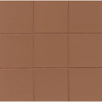Metropolitan 6" x 6" x 1/2" Floor and Wall Tile in Auburn