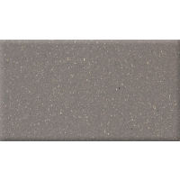 Metropolitan 4" x 8" x 1/2" Floor and Wall Tile in Puritan Gray