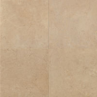 Tribal 24" x 24" x 3/8" Floor and Wall Tile in Harrison