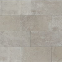 Blende 24" x 48" x 3/8" Floor and Wall Tile in Brume