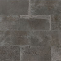 Blende 12" x 24" x 3/8" Floor and Wall Tile in Cinereal