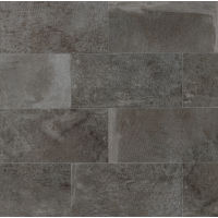 Blende 12" x 24" x 3/8" Floor and Wall Tile in Cinereal