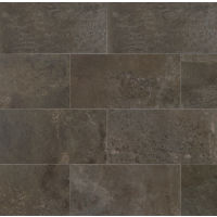 Blende 24" x 48" x 3/8" Floor and Wall Tile in Piceous
