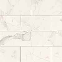 Classic 12" x 24" x 3/8" Floor and Wall Tile in Statuarietto