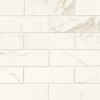 Classic 2" x 6" Floor and Wall Mosaic in Statuarietto