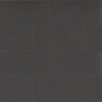 Parkland 12" x 24" x 3/8" Floor and Wall Tile in Acadia