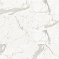 Plane 15" x 30" x 1/4" Floor and Wall Tile in Classico (Calacatta)