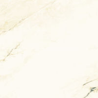 Plane 30" x 60" x 1/4" Floor and Wall Tile in Paonazzetto Vena