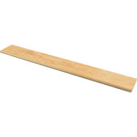 Armenia 3" x 20" x 3/8" Trim in Sevan