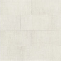 Dagny 12" x 24" x 3/8" Floor and Wall Tile in White