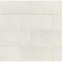 Lido 12" x 24" x 3/8" Floor and Wall Tile in White