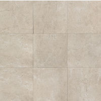 Marfil 20" x 20" x 3/8" Floor and Wall Tile in Silver