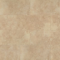 Roma 12" x 24" x 3/8" Floor and Wall Tile in Beige