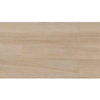 Kensington 8" x 36" x 3/8" Floor and Wall Tile in Gray