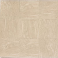 Yosemite 24" x 24" x 3/8" Floor and Wall Tile in Beige