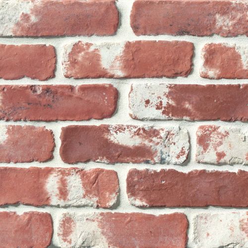 Avondale 2" x 8" x 1/2" Floor and Wall Tile in Used Red
