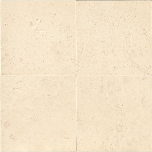 Corinthian White 24" x 24" Floor & Wall Tile