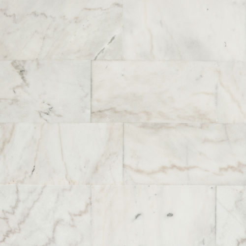 Oriental White 12" x 24" Floor & Wall Tile