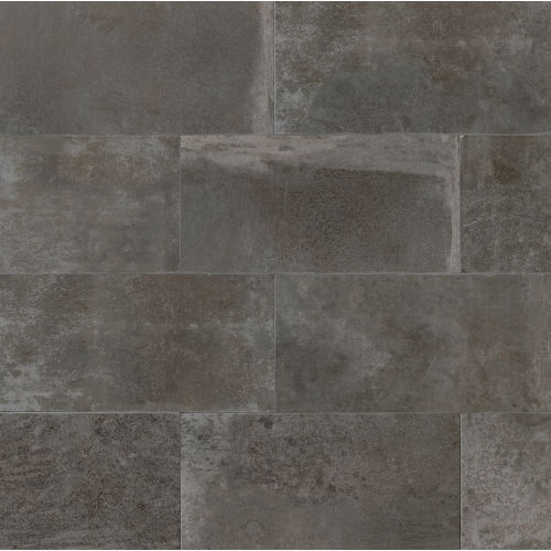 Blende 12" x 24" Floor & Wall Tile in Cinereal