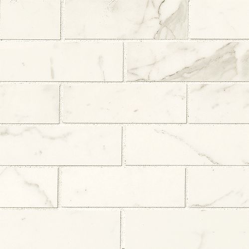 Classic 2" x 6" Floor & Wall Mosaic in Statuarietto