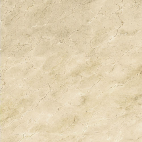 Plane 60" x 60" Floor & Wall Tile in Marfil Vena