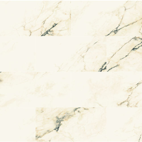 Plane 15" x 30" x 1/4" Floor and Wall Tile in Paonazzetto Vena