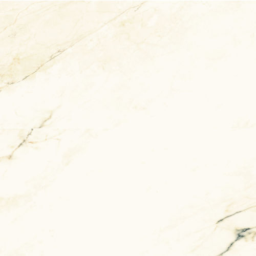 Plane 30" x 60" x 1/4" Floor and Wall Tile in Paonazzetto Vena