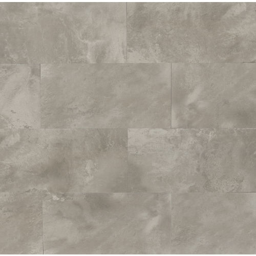 Cemento 12" x 24" Floor & Wall Tile in Classico