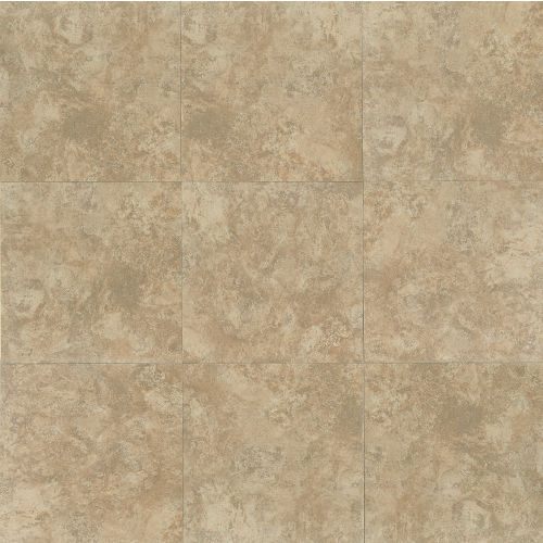 Fantasia 20" x 20" x 3/8" Floor and Wall Tile in Almond
