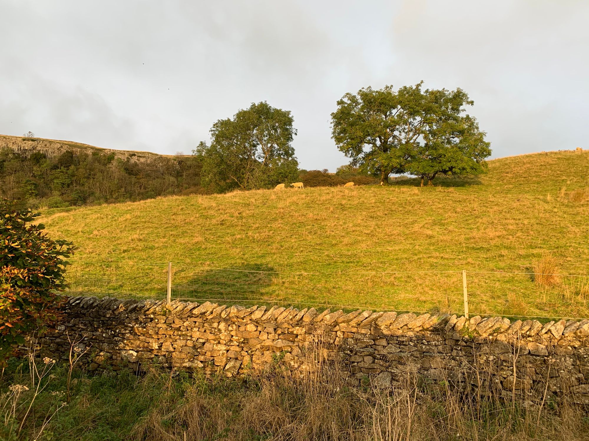 Week 12: England