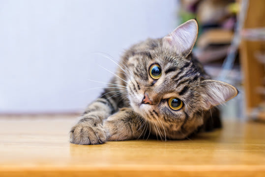 Test post