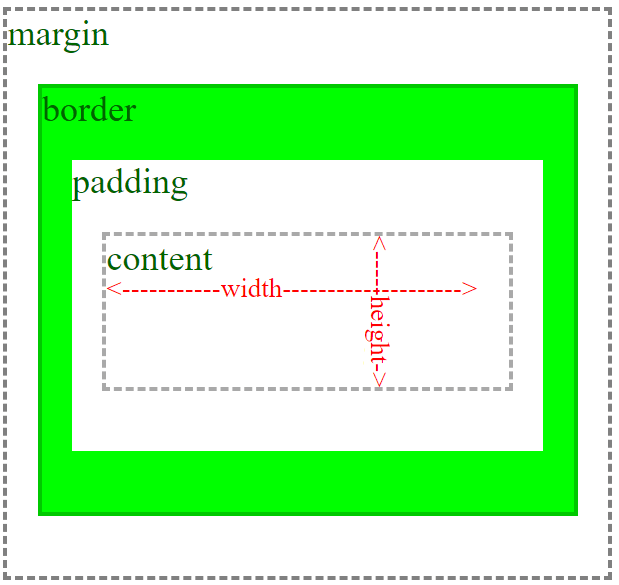 Essential CSS Properties