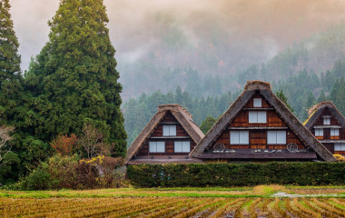 迷人的日本旅行在秋天季节游览传统和历史日本村庄白川乡