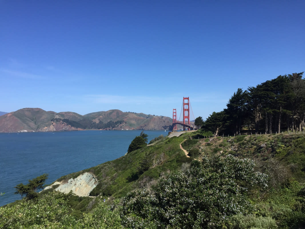 7/16 [PHOTOS] Camping, Biking, and Craft Beer-ing in Northern California