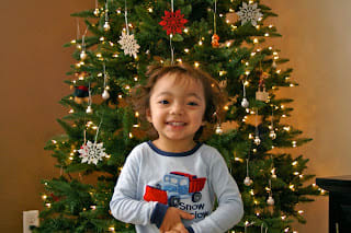 Mario's Christmas Picture 2010