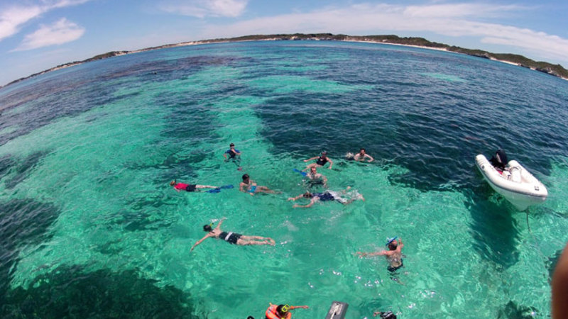 Snorkel Tour And Cruise Of Rottnest Island From Fremantle