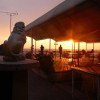 A student studying abroad with Webster University: Athens - Odyssey in Athens