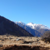 A student studying abroad with The Education Abroad Network: Wellington - Victoria University of Wellington