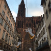 A student studying abroad with Syracuse University: Strasbourg - Syracuse University in Strasbourg
