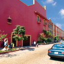Study Abroad Reviews for NRCSA: Cuernavaca - Cuernavaca Universal