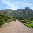CIEE: Cape Town - Arts and Sciences Photo