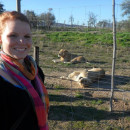 Study Abroad Programs in South Africa Photo